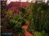 SoSerene, SoSerene, Wapakoneta — The gardens of SoSerene