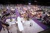 Northeast / Southeast Exhibit Halls, Albuquerque Convention Center, Albuquerque