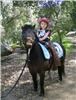 Once Upon A Pony Rides & Petting Zoo