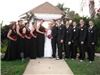 Alafia Ceremonies LLC, Tampa — Newlyweds and their Bridal Party