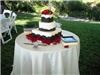 Alafia Ceremonies LLC, Tampa — Amy & John's Wedding Cake