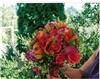 Enchanted Florist - Everett, Everett — Intensely colorful blooms really stand out in a woodland setting.