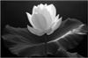 Click to see Profile