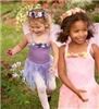 Princess Parties, Roswell — Princess Parties and Tea Parties Dress-up Face Paint Games with prizes Crafts and More Serving All Areas