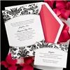 NeotericExpressions - Miami, Miami — Damask with Popping Pink