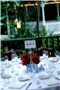 Mr. and Mrs. Wedding, Palm Beach