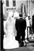 Mr. and Mrs. Wedding, Palm Beach