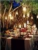 Simple to Extravagant Weddings - Blue Ridge, Blue Ridge — An evening reception outside.
