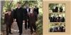 Averys Imaging - Redding, Redding
