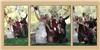 Averys Imaging - Redding, Redding