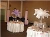 nozies Wedding Events Planning And Decor, Hannon — Ostrich feather centerpieces come in different colours.
