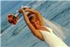 Pavel Photography, Gulf Shores