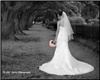 Ibarra Photography - Houston, Houston