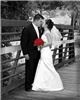 Ibarra Photography - Houston, Houston