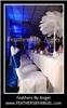 Feathers By Angel-Ostrich Feather Centerpieces - Atlanta, Atlanta — Feathers By Angel rent ostrich feather centerpieces for weddings and all events. We travel to all states, travel fee applies. We are full service: travel to your event location, set them up for you then remove them at the conclusion of your event. Visit our site at www.feathersbyangel.com