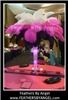 Feathers By Angel-Ostrich Feather Centerpieces - Philadelphia, Philadelphia — Feathers By Angel rent ostrich feather centerpieces for weddings and all events. We travel to all states, travel fee applies. We are full service: travel to your event location, set them up for you then remove them at the conclusion of your event. Visit our site at www.feathersbyangel.com