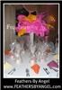 Feathers By Angel-Ostrich Feather Centerpieces - Philadelphia, Philadelphia — Feathers By Angel rent ostrich feather centerpieces for weddings and all events. We travel to all states, travel fee applies. We are full service: travel to your event location, set them up for you then remove them at the conclusion of your event. Visit our site at www.feathersbyangel.com