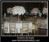 Feathers By Angel-Ostrich Feather Centerpieces - Philadelphia, Philadelphia — Feathers By Angel rent ostrich feather centerpieces for weddings and all events. We travel to all states, travel fee applies. We are full service: travel to your event location, set them up for you then remove them at the conclusion of your event. Visit our site at www.feathersbyangel.com