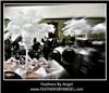Feathers By Angel-Ostrich Feather Centerpieces - Philadelphia, Philadelphia — Feathers By Angel rent ostrich feather centerpieces for weddings and all events. We travel to all states, travel fee applies. We are full service: travel to your event location, set them up for you then remove them at the conclusion of your event. Visit our site at www.feathersbyangel.com