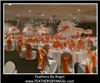 Feathers By Angel-Ostrich Feather Centerpieces - Philadelphia, Philadelphia — Feathers By Angel rent ostrich feather centerpieces for weddings and all events. We travel to all states, travel fee applies. We are full service: travel to your event location, set them up for you then remove them at the conclusion of your event. Visit our site at www.feathersbyangel.com