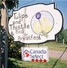 Tulips & Thistle Bed & Breakfast, Truro