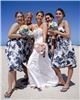 Stephen Peterson Photography - Clearwater, Clearwater
