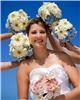Stephen Peterson Photography - Clearwater, Clearwater