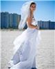 Stephen Peterson Photography - Clearwater, Clearwater