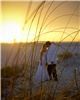 Stephen Peterson Photography - Clearwater, Clearwater