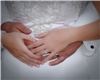 Stephen Peterson Photography - Clearwater, Clearwater