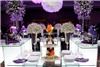 The Party Empire, Inc., Miami — Set Up Fully Done By Us