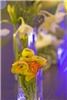 Elite Events Catering, Inc., Tampa