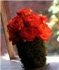 Jo's Personal Touch & Catering - Greenville, Greenville