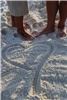 Florida Nuptials - Serving Destin, Panama City Beach & Surroundng Areas, Santa Rosa Beach