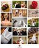 Click to see Profile