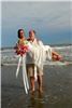 Click to see Profile