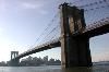 Best Western Gregory Hotel, Brooklyn — Shopping: 
 
    .2 mile(s) from 86th Street  
 
    .6 mile(s) from Fulton Street Mall  
 
Corporate Locations: 
 
    6 mile(s) from Metro Tech Center  
 
    7 mile(s) from New York Supreme Court  
 
    10 mile(s) from Wall Street