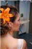 Click to see Profile