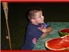 Green Doxie Events - Orlando, Orlando — Wedding Backyard-BBQ Reception