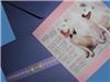 Green Doxie Events - Orlando, Orlando — Custom Save-The-Date Announcement  --  for couple who chose to have their rescued dogs announce their upcoming wedding.
