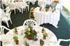 Little River Flower Farm, Buxton — Center Pieces with Party Favor Herb Pots Fresh Lavander spread on tables. GDI Wedding