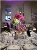 Delicious Gourmet, LLC, Gaithersburg