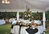 Tent, Honeysuckle Acres, Winnsboro — Reception under Tent