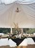 Tent, Honeysuckle Acres, Winnsboro — Reception under Tent