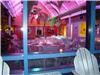 Greenhouse, Scholastic Inc - Auditorium & Greenhouse with Rooftop Terrace, New York — Evening seated setup