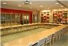 Resource Center, Scholastic Inc - Auditorium & Greenhouse with Rooftop Terrace, New York — U-Shape seating