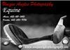 Unique Angles Photography, Pierre — Equine Photography Business Card for Unique Angles Photography.
