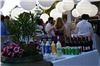 Entire Facility, Weatherall Fine Art Weddings, Santa Rosa Beach