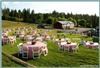 Coeur d'Alene Meadows Amphitheatre, Settlers Creek, Coeur d'Alene