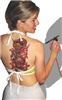 Island Tribal Designs Inc., Las Vegas — Airbush tattoo 3 stencil overlay dragon for modeling.